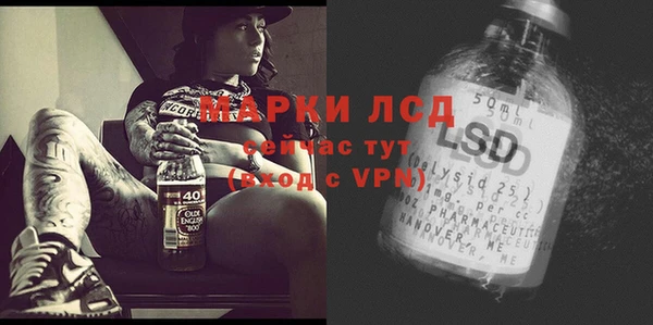 сатива Алзамай
