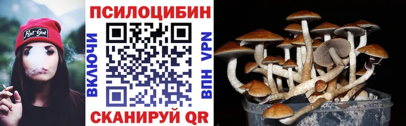 где купить наркотик  Балаково  Псилоцибиновые грибы мухоморы 